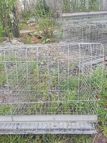 клетки для кур: Продаю 5-секционные клетки для содержания кур/кроликов и т.д цена — 5
