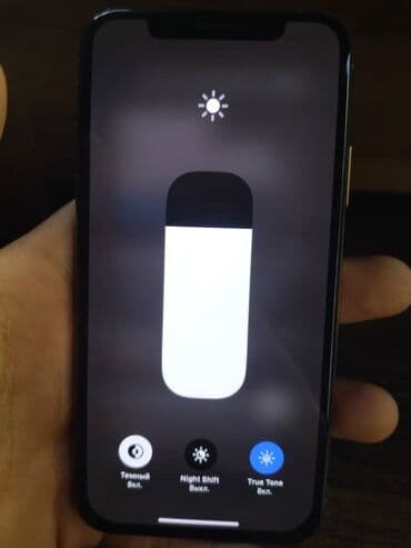 дисплей xs max: IPhone Xs, Колдонулган, 256 ГБ, Күмүш, Каптама, Заряддоочу түзүлүш, 100 % — 5