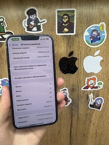 galaxy 20: IPhone 13 Pro, Б/у, 256 ГБ, Alpine Green, Защитное стекло, Чехол, Коробка, 100 % — 6