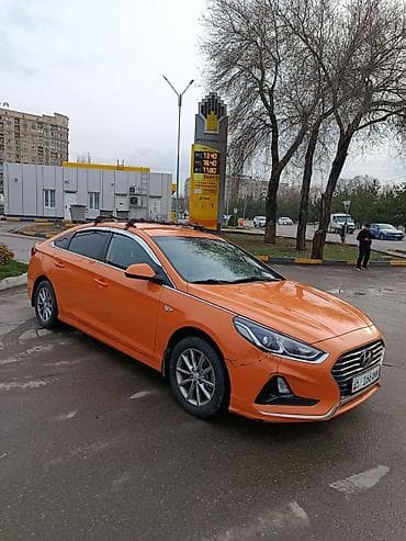 sonata 2014: Hyundai Sonata: 2019 г., 2 л, Автомат, Газ, Седан — 1