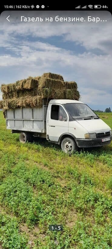 Легкий грузовик, ГАЗ, Стандарт