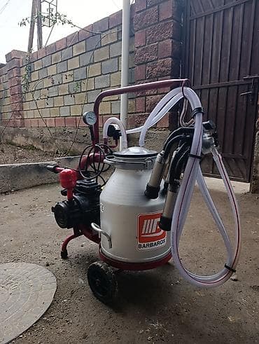 купить ломан браун: Продаю в идеальнейшем состоянии турецкий доильный аппарат для коров — 2