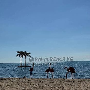 Коттедж, квартира иссык куль ЦО Palm Beach, Чок-Тал, Теннисный корт