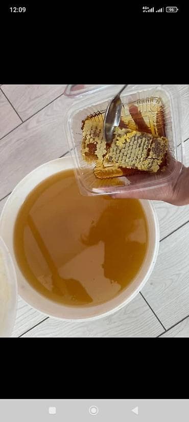 алла тоо: Мед 🍯 чистый токтогул — 2