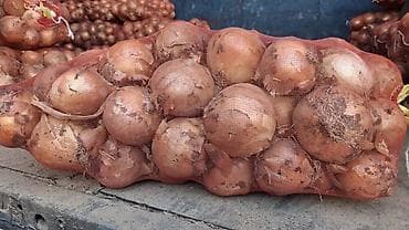 лук овощи: Свежий отборный лук — 4