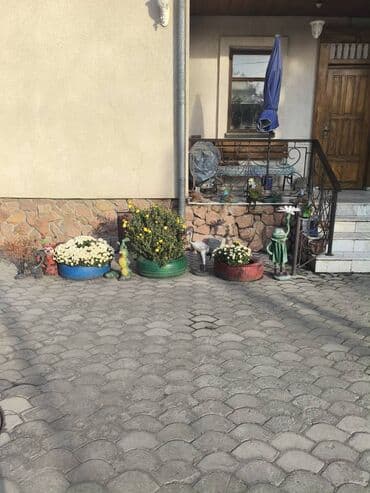 частный роддом: Частный пансион "Теплота" предоставляет следующие услуги:качественный — 8