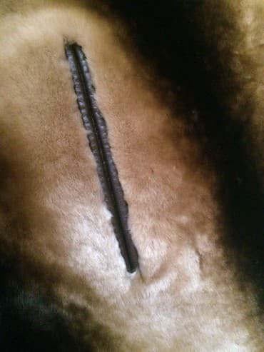 Спецодежда: Продаю шубу мутон в отличном состоянии.50 размер.ватсапп — 4