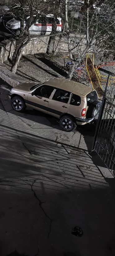 купить диски на ниву: Chevrolet Niva: 2005 г., 1.7 л, Механика, Бензин, Внедорожник — 9