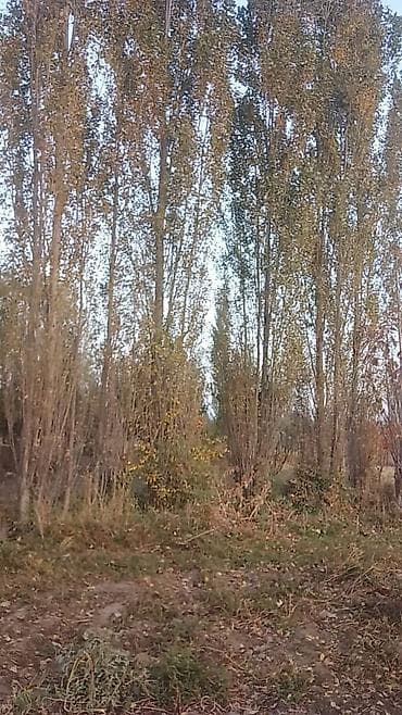 ак калпак гостевой дом: 14 соток, Для строительства, Красная книга — 6