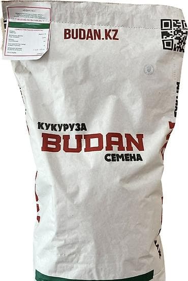 тез арада: В продаже семена кукурузы BUDAN (БУДАН) ЗПСК 704 урожайность гибрида — 2
