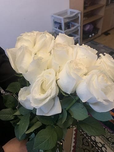 Уход и хранение одежды: Букет белых роз - Классические белые розы с крупными, плотными — 1