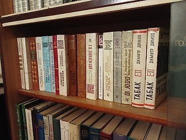 Столдор: Большая домашняя библиотека: собрание художественной и — 10