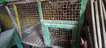 улитки цена: СРОЧНО ПРОДАЮ !!! Четыре огромные Клетки для Кроликов ( для обычных и — 1
