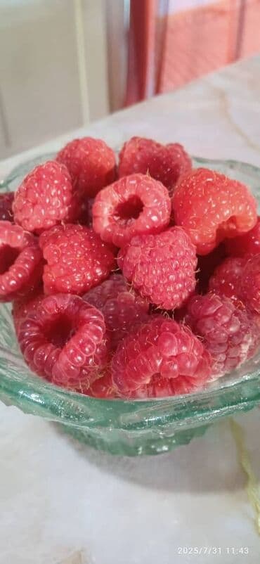 роза көчөт: Саженцы малины (ремонтантная крупноплодная) - Сорт с ярко‑красными — 2