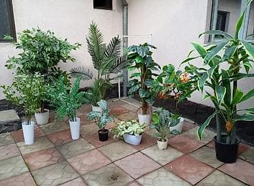 Декор и интерьер: Искусственные комнатные растения в кашпо — коллекция для дома, офиса — 1