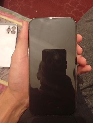 IPhone 13 Pro Max, Alpine Green, Чехол