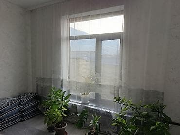 Сниму дом: Просторный дом с современным ремонтом - Кухня-гостиная с линейным — 4