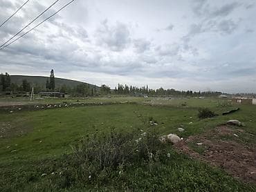 жер там арендага берилет: 50 соток, Бизнес үчүн, Сатып алуу-сатуу келишими — 4