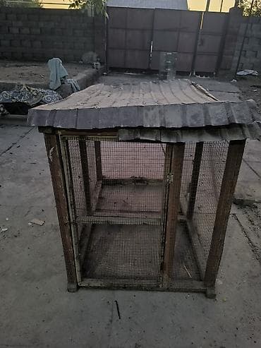 домашные животные: Уличный вольер/клетка для птицы или мелких животных. - Каркас из — 1