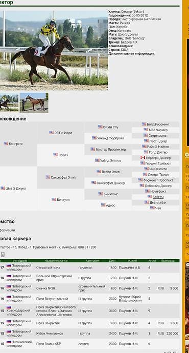 инд: Продаю | Жеребенок | Английская | Конный спорт | Племенные — 3