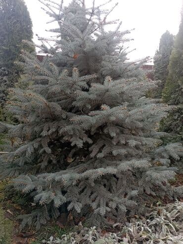 ароматные палочки: Декор для дома и сада — 5