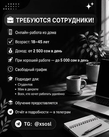 IT, компьютерлер, байланыш: Онлайн-работа из дома. - Возраст: 18–45 лет - Доход: от 2 500 сом в — 1