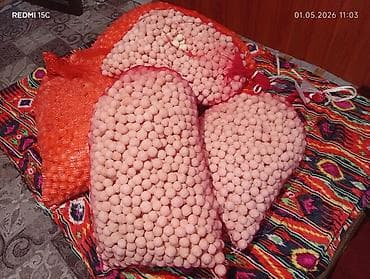 Кошулмасы жок таза курут