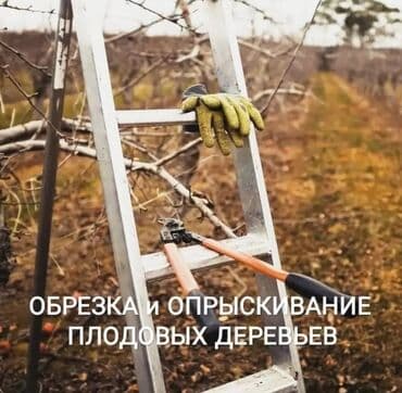 🌿 Обрезка плодовых деревьев .
🌿 Обработка плодовых деревьев at lalafo.kg 🌿 Обрезка плодовых деревьев .
🌿 Обработка плодовых деревьев