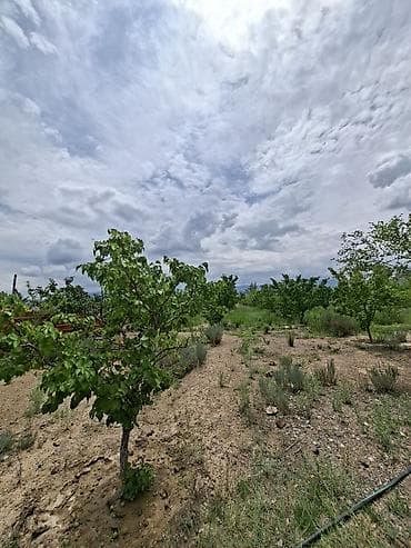 недвижимость кант: Продаётся жилой дом с участком. - Материал стен: кирпич. Крыша — — 2