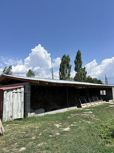 Продаётся дом с большим участком и хозяйственными постройками в городе