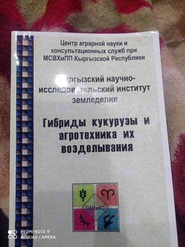 уголь көмүр: Семена: Кукуруза, Бесплатная доставка — 2