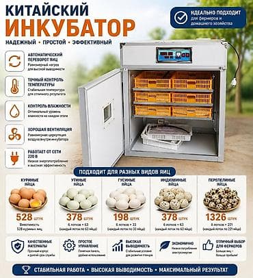 перепелина: Инкубатор для птицеводства (китайский), автоматический Назначение: - — 2