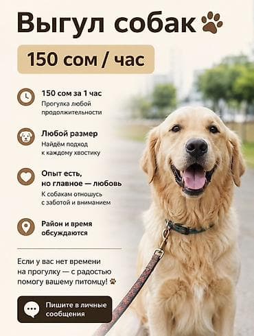 эвтаназия собаки цена: Выгуляю вашу собаку - Стоимость: 150 сом/час - Продолжительность — 1