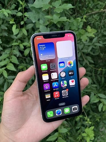 IPhone Xr, Б/у, 64 ГБ, Белый, 77 %