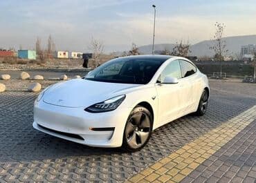 полировочный машина: Tesla Model 3: 2019 г., Автомат, Электромобиль, Седан — 4