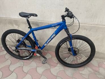 купить трехколесный электровелосипед для взрослых бу: Горный велосипед, Б/у — 2