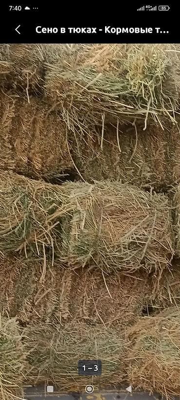 листовая подкормка: Сено в тюках отдам дешевле, в Новопокровке,обращаться по — 1