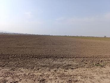 дом под бизнес: 100 соток, Для сельского хозяйства — 3