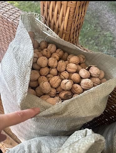 груши купить: Грецкий орех в скорлупе - Цельные орехи в плотной сухой скорлупе — 1