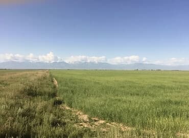 дома без хозяина: 900 соток, Для сельского хозяйства, Красная книга — 2