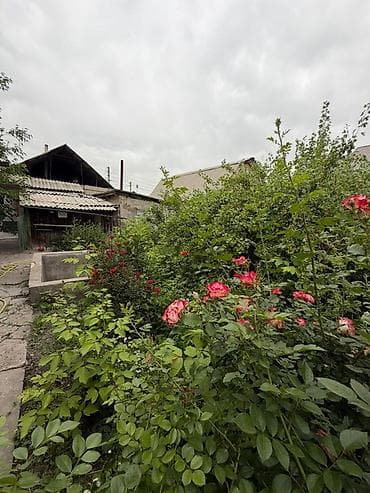 недвижимость дома: 5 и более комнат, 135 м², Косметический ремонт — 10
