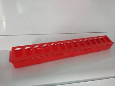 Кормушка длинная для цыплят 50см