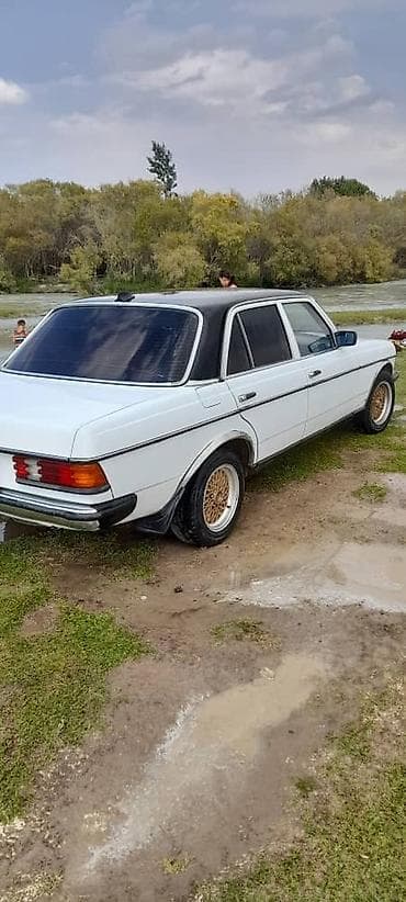 бишкек шина: Mercedes-Benz W123: 1980 г., 2.3 л, Механика, Дизель, Седан — 6