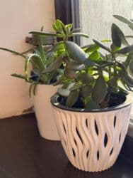 кухонные буфет бу: Ашкана үстөлү жана отургуч, Колдонулган, Өзү алып кетүү, түсү - Күрөң — 3