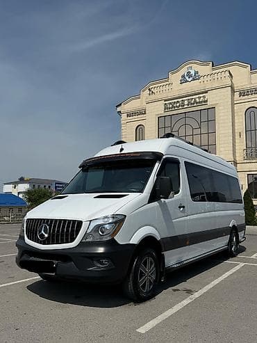 pro max: Пункт назначения: Все направления, Количество мест: Другое количество, Лицензия №: 08B004690 — 7