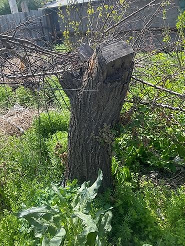 рубить дрова: Дрова — 3