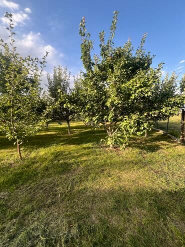 продаю дом сокулук шопоков: Ыссык-Кол району Кош-Кол айылынан жер там сатылат Баня бар 17 сотых — 3