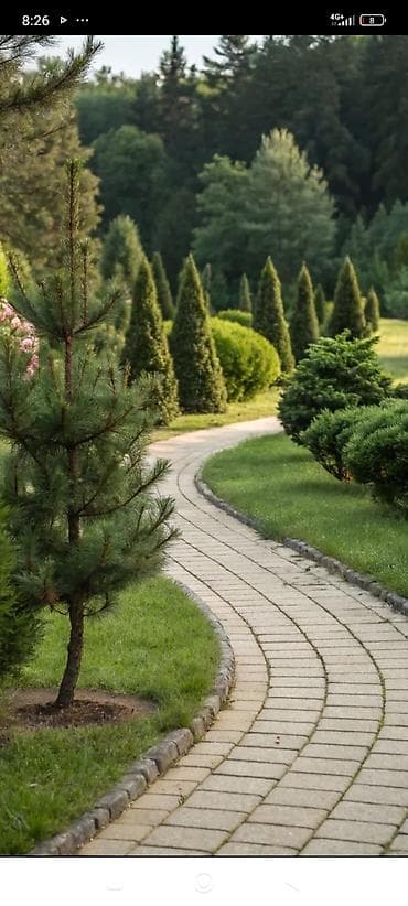 аккустический поролон: Ландшафтные садовые дорожки и мощение - Проектирование и устройство — 2