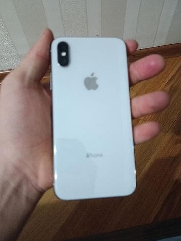 IPhone X, Серебристый