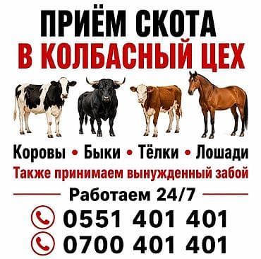 Колбасный цех : Другие с/х животные, | Круглосуточно